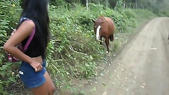 Thai-Teenager Reitet Pferd Und Bekommt Sperma In Sich