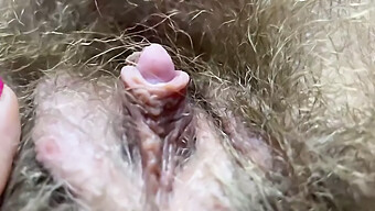 Lồn Lông Châu Á Được Creampie Trong Video Chặt Chẽ Này